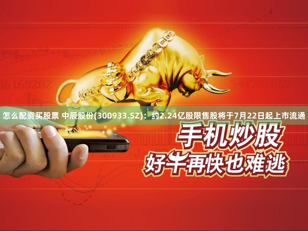 怎么配资买股票 中辰股份(300933.SZ)：约2.24亿股限售股将于7月22日起上市流通