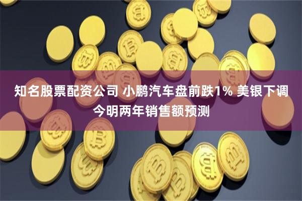 知名股票配资公司 小鹏汽车盘前跌1% 美银下调今明两年销售额预测