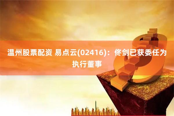 温州股票配资 易点云(02416)：佟剑已获委任为执行董事