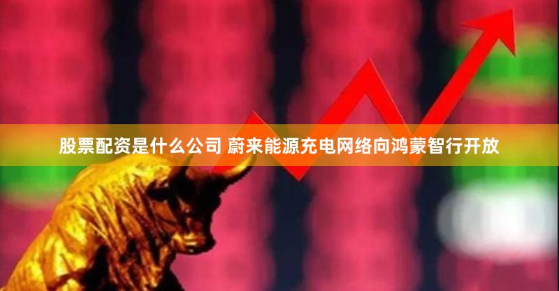 股票配资是什么公司 蔚来能源充电网络向鸿蒙智行开放