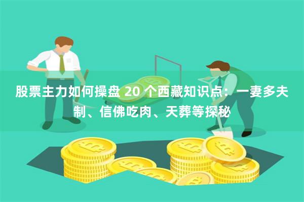 股票主力如何操盘 20 个西藏知识点：一妻多夫制、信佛吃肉、天葬等探秘