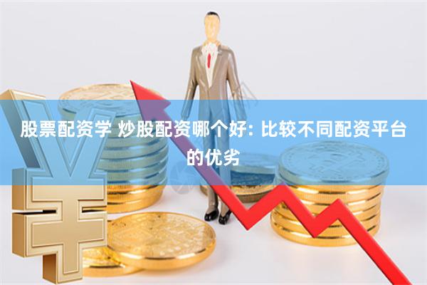 股票配资学 炒股配资哪个好: 比较不同配资平台的优劣