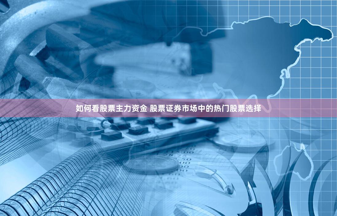 如何看股票主力资金 股票证券市场中的热门股票选择