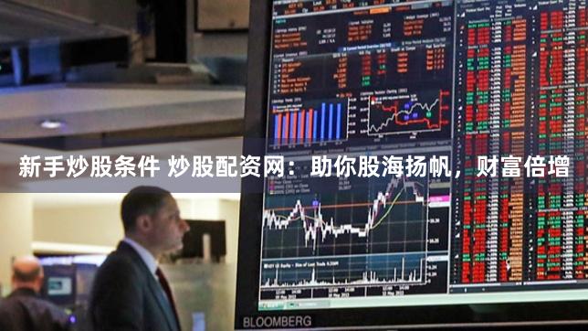 新手炒股条件 炒股配资网：助你股海扬帆，财富倍增