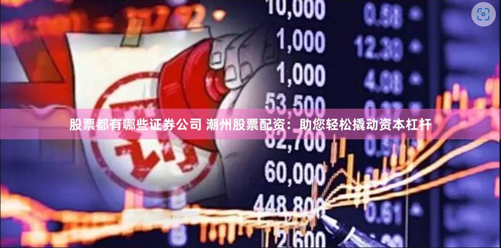 股票都有哪些证券公司 潮州股票配资：助您轻松撬动资本杠杆